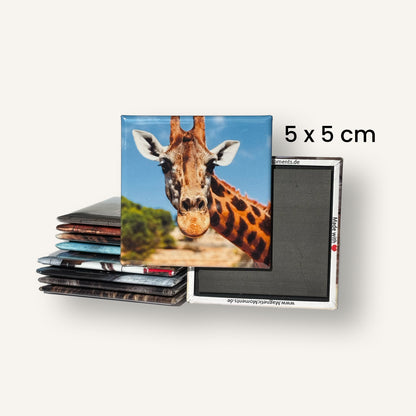 Dein Foto als Magnet – 5×5 cm